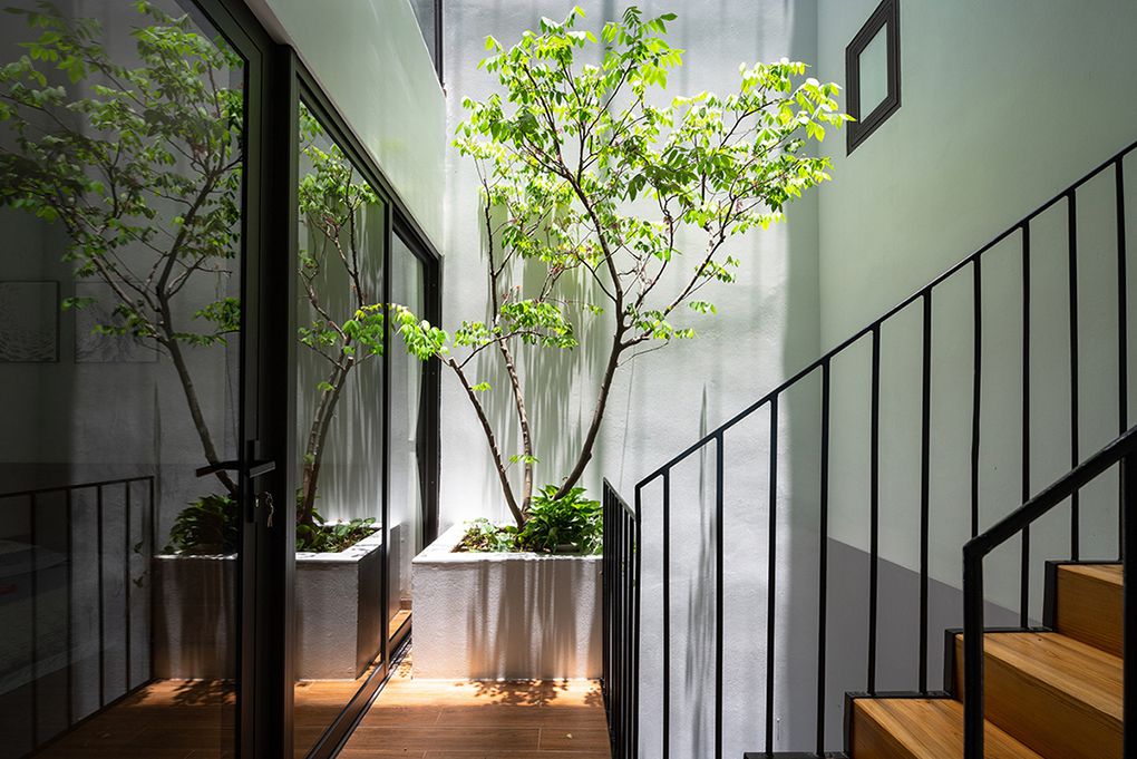 Giếng trời đẹp cho nhà ống Giếng trời đẹp cho nhà ống